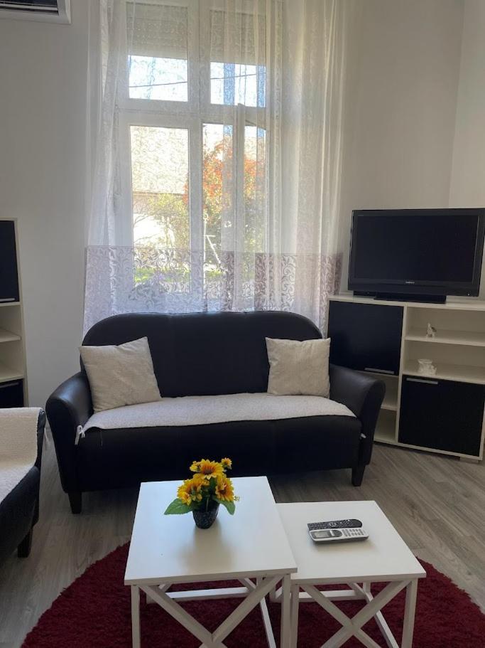 Apartment Milijana ซูโบติกา ภายนอก รูปภาพ